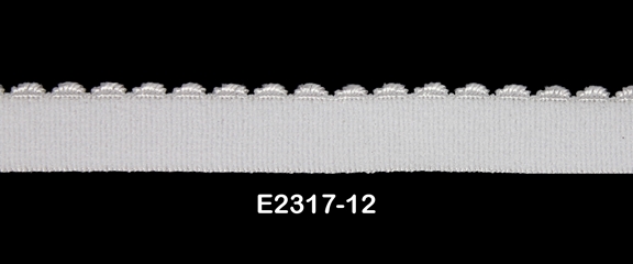 E2317-12