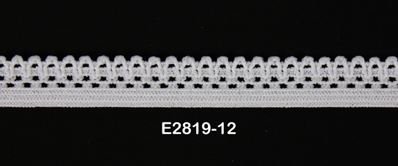 E2819-12