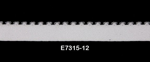E7315-12